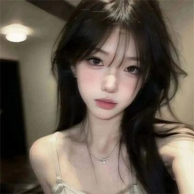 战略特勤组