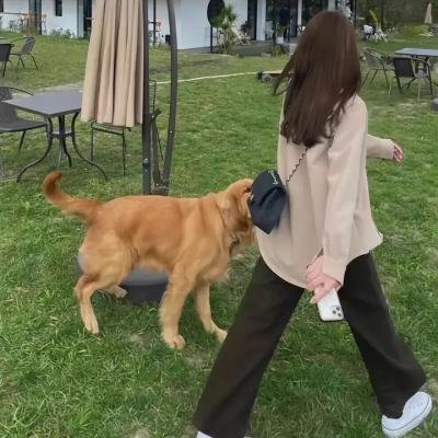单身到底
