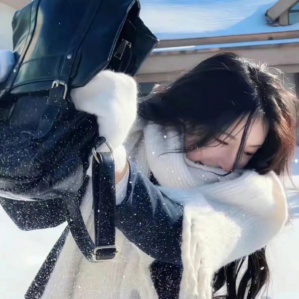 精灵高中